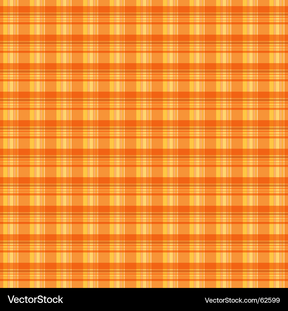 Plaid Fabric Texture Vector Image
