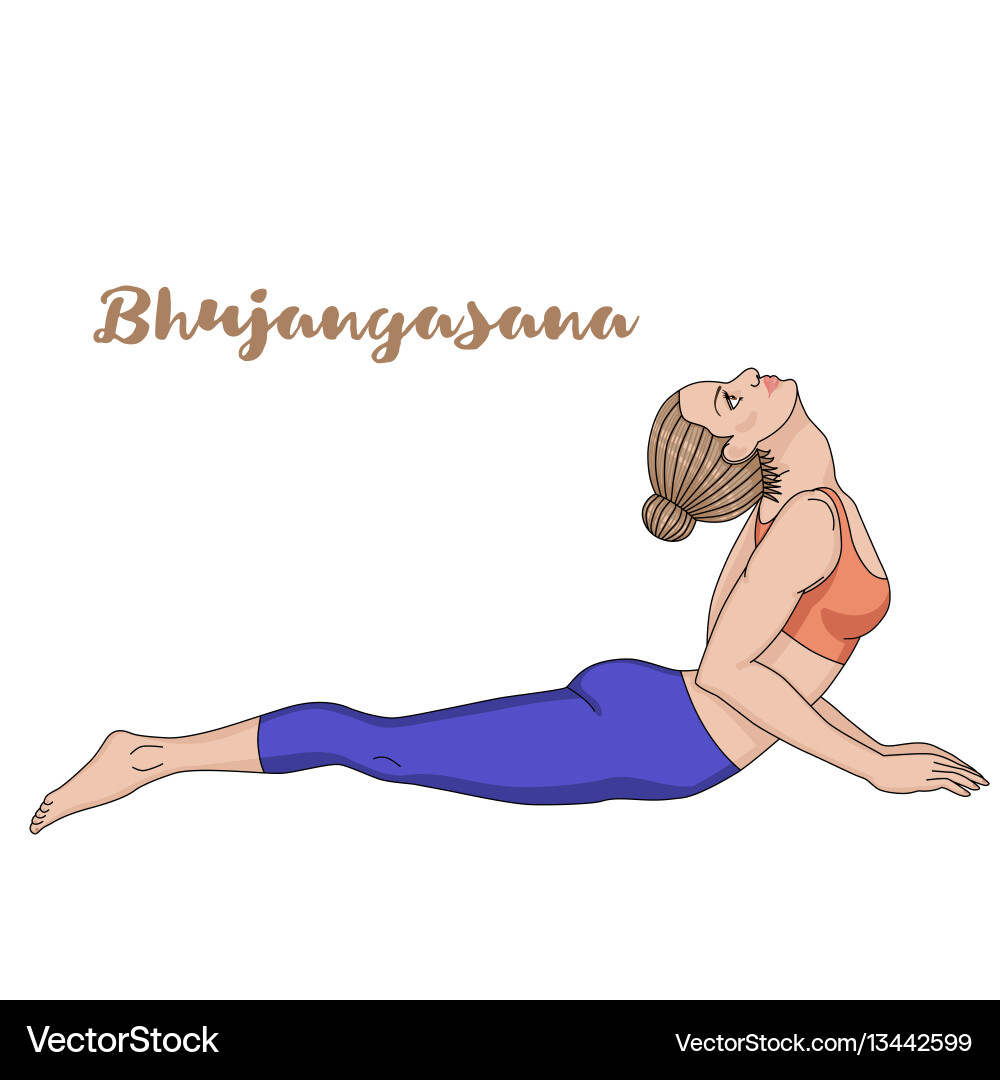 Woman in Cobra Yoga Pose vector image