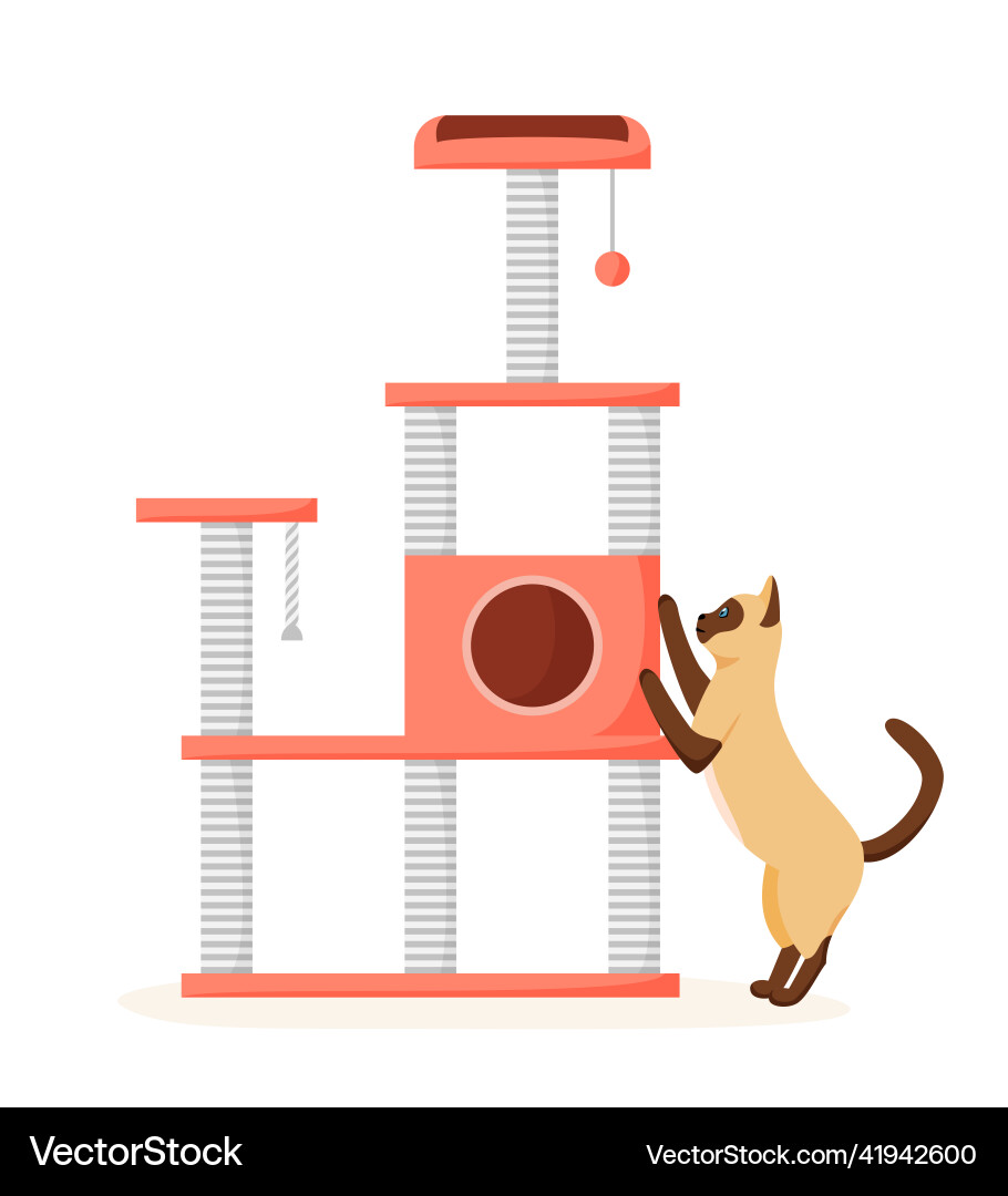 Cat tree with scratching posts siamese Vector Image