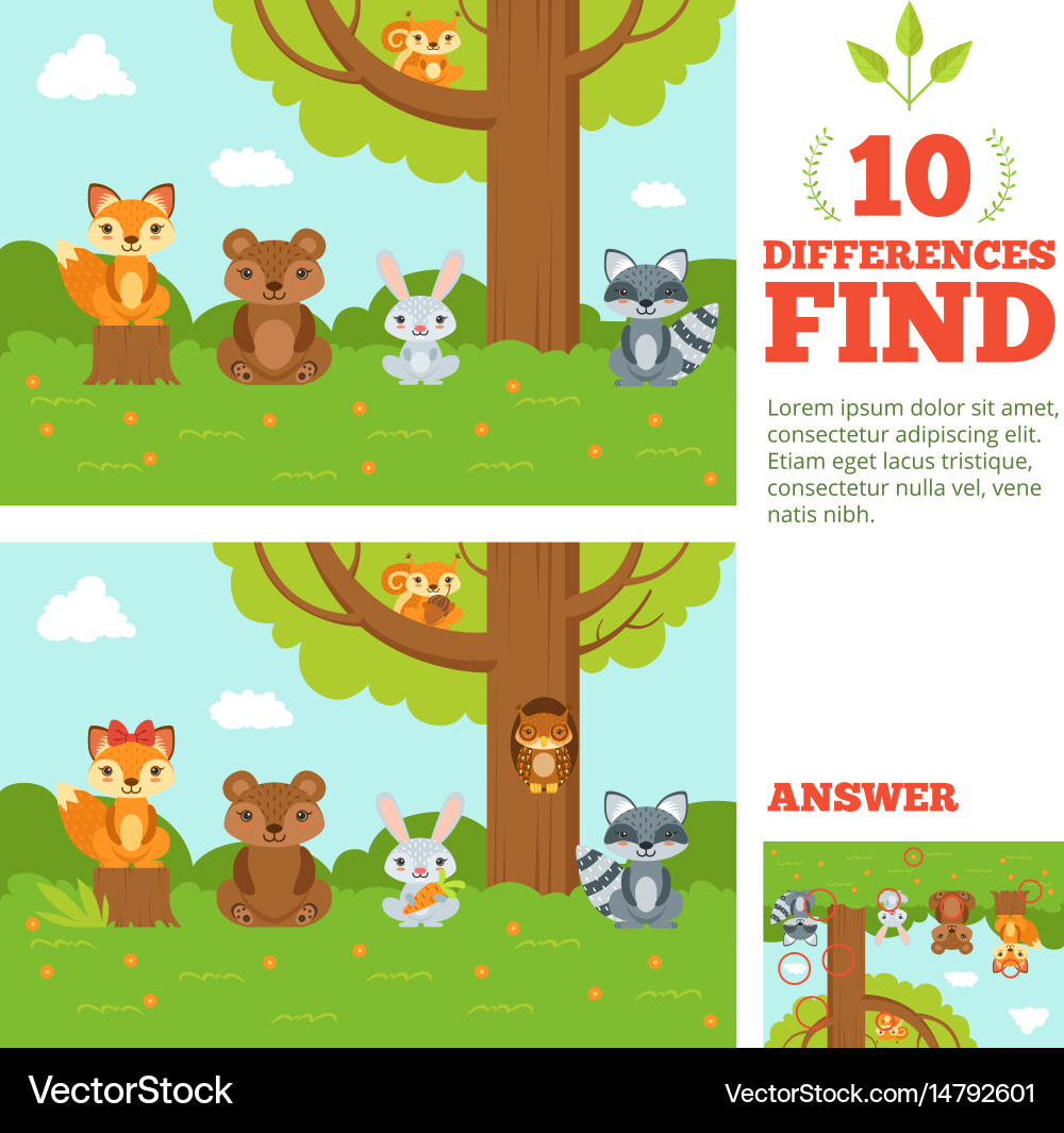 Find the Differences Forest Game Vector Image