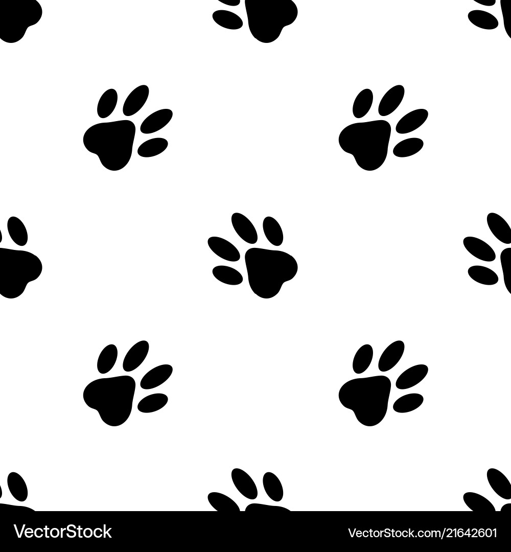 Seamless pattern cats feet on white background Seamless pattern cats feet on white background vector image