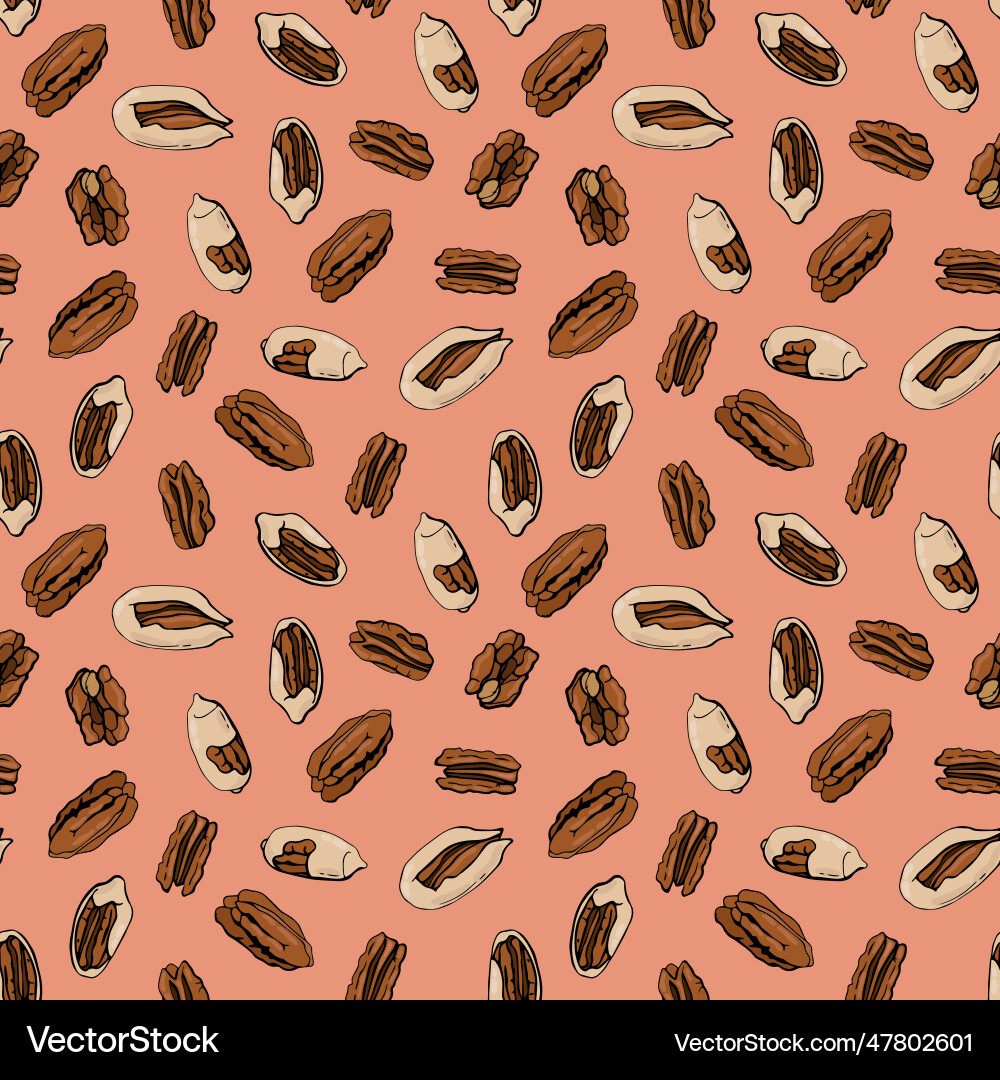 Seamless pattern with pine nuts Vector Image
