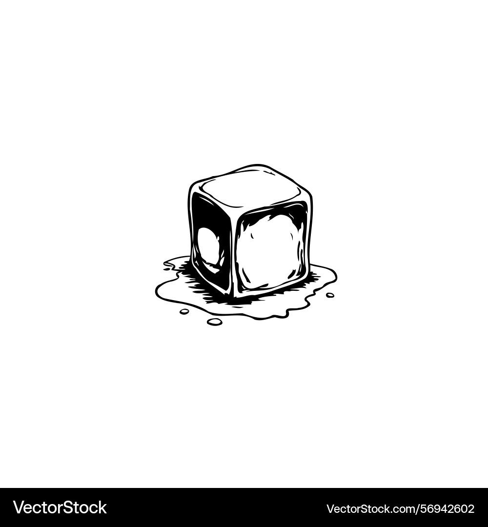 Monochrome of a melting ice cube creating vector image