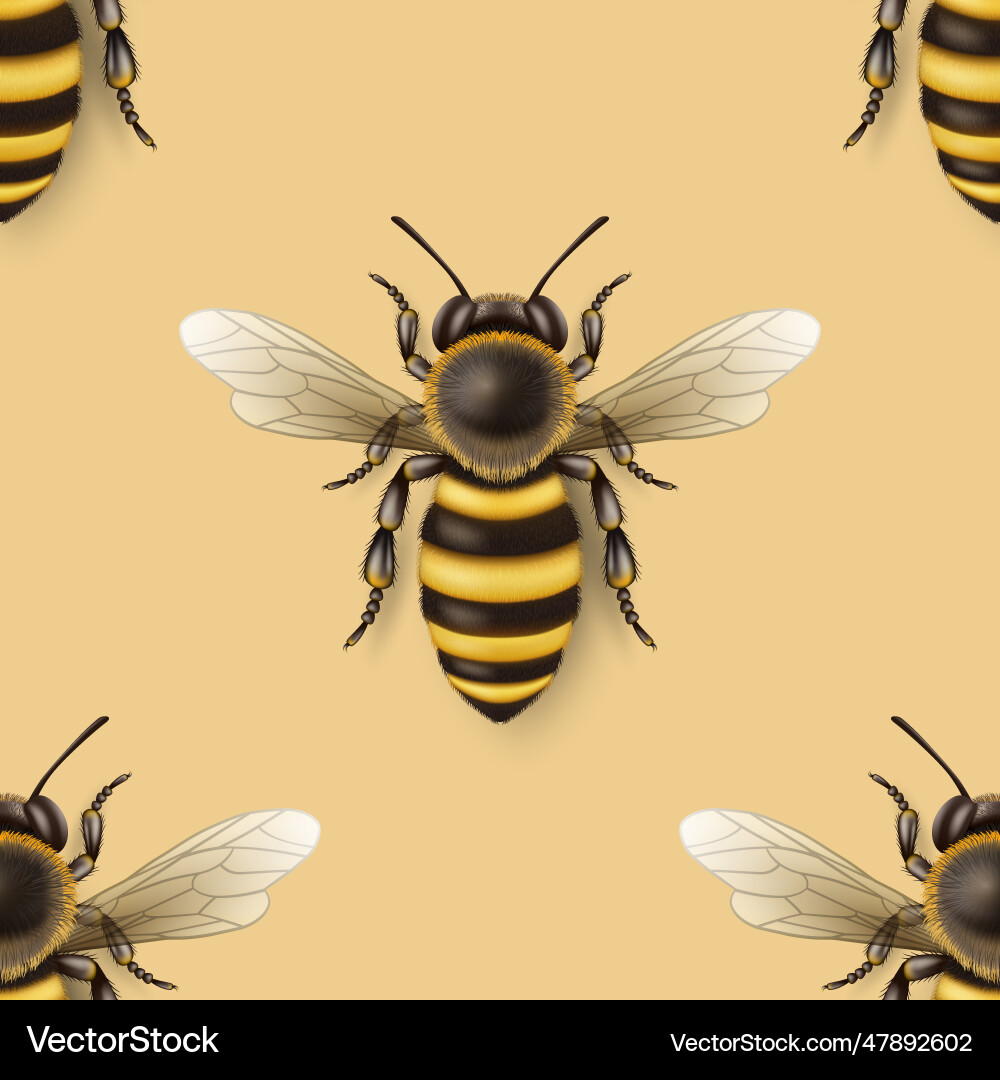 Seamless pattern with 3d realistic detailed Seamless pattern with 3d realistic detailed vector image
