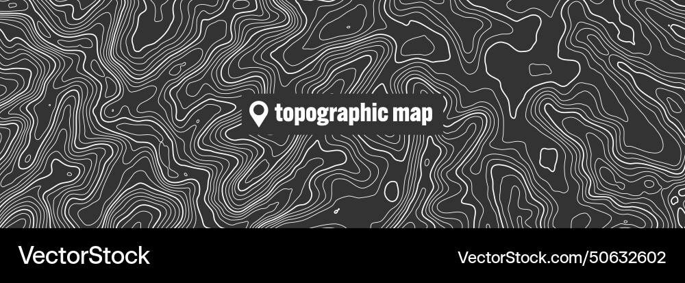 Topographic map with contour lines geographic vector image