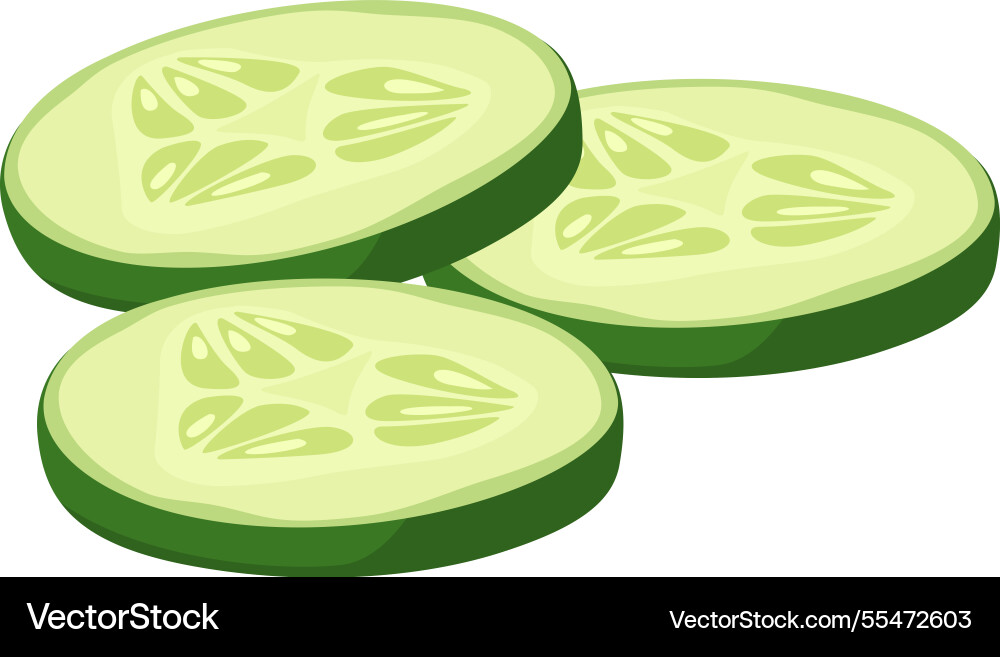 Overlapping Cucumber Slices Vector Image