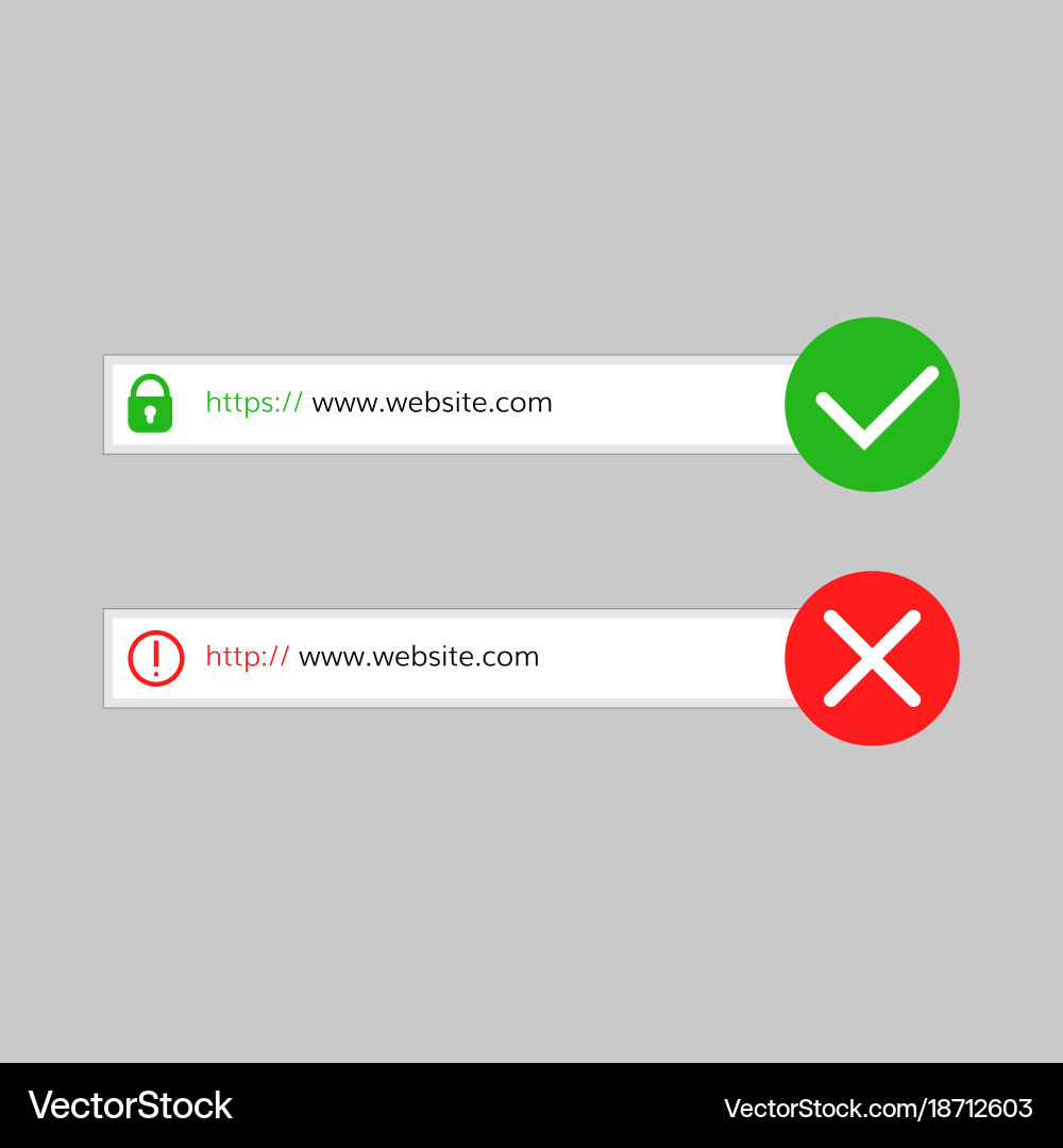 Secure Connection & Website URLs vector image