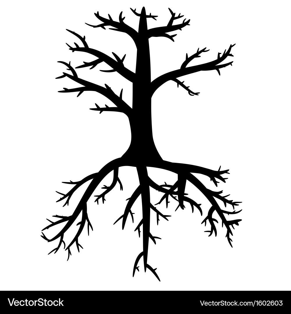 Trees with dead branches and roots vector image