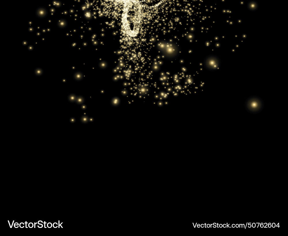 Dust sparks and golden stars shine with specia vector image