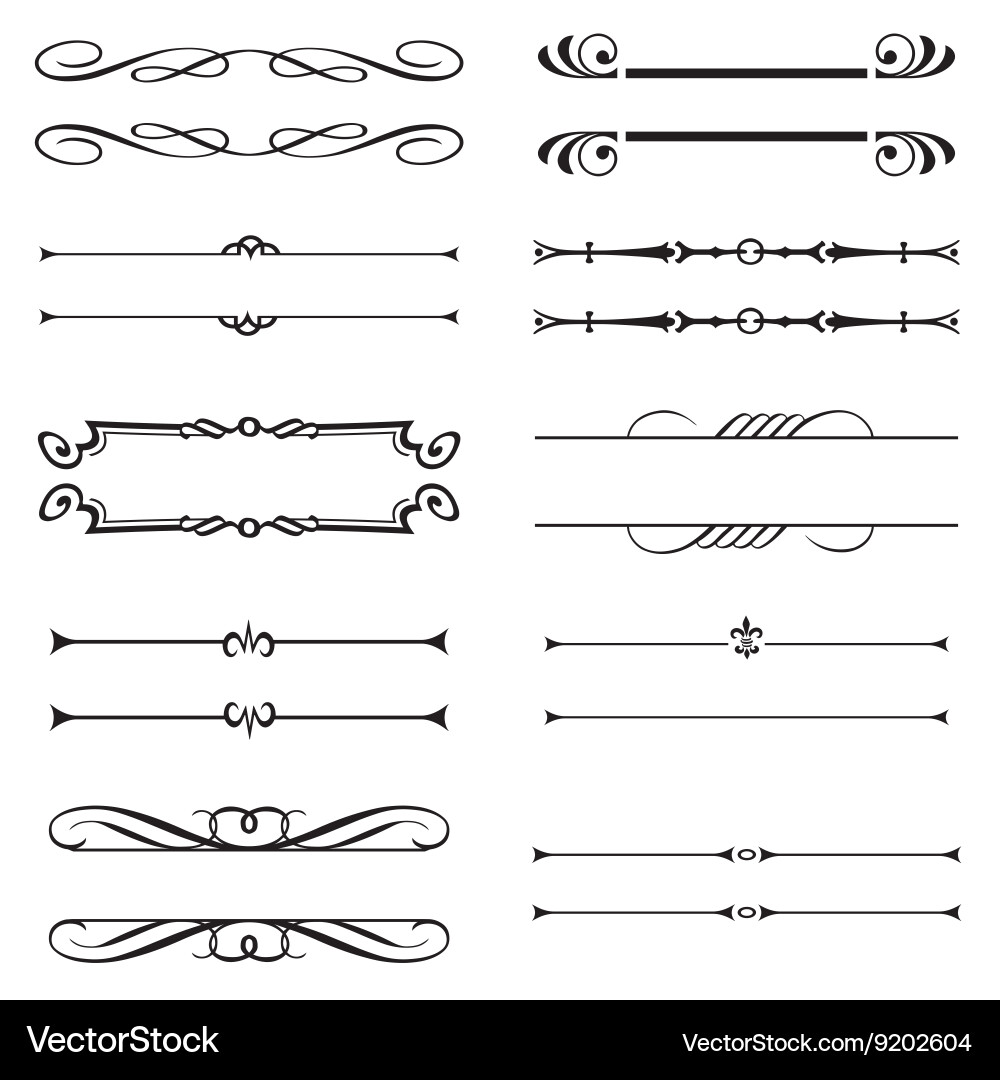 Elegant Calligraphic Swashes & Flourishes vector image