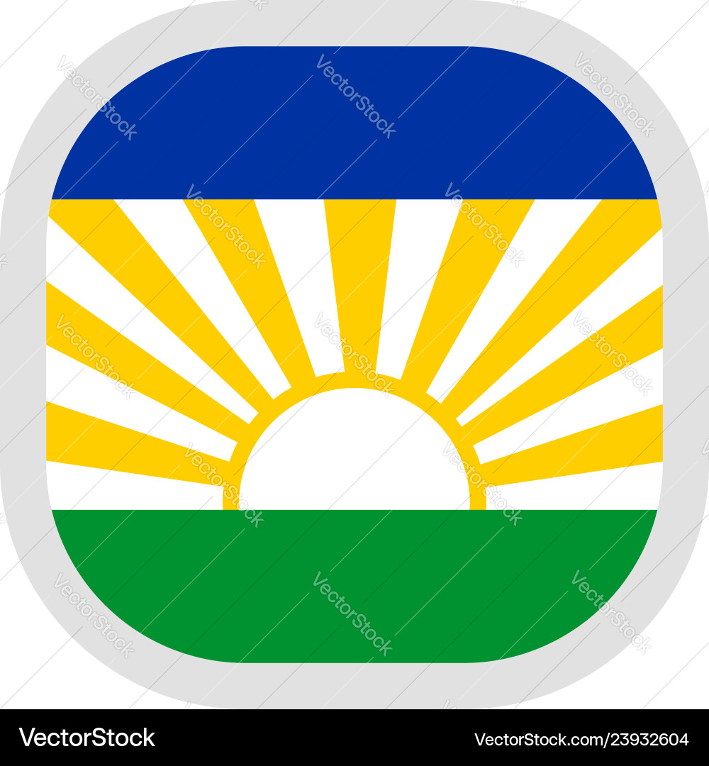 Icon square shape with flag on white background Icon square shape with flag on white background vector image