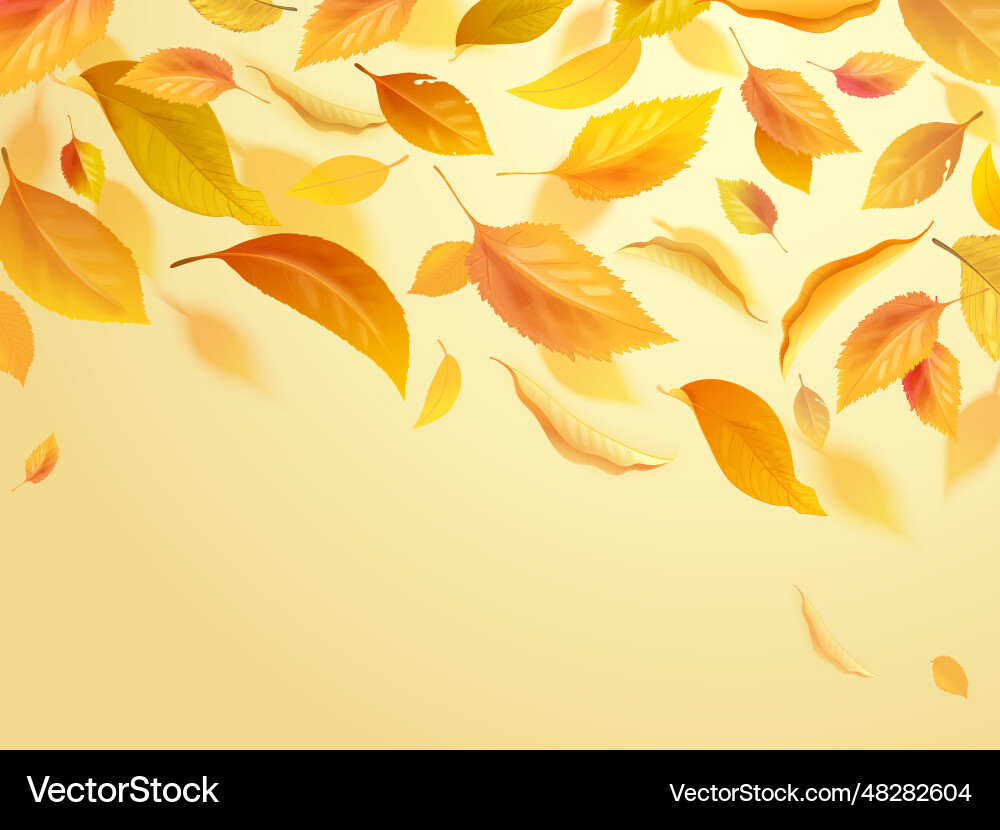 Realistic autumn wind flying falling gold leaves Realistic autumn wind flying falling gold leaves vector image