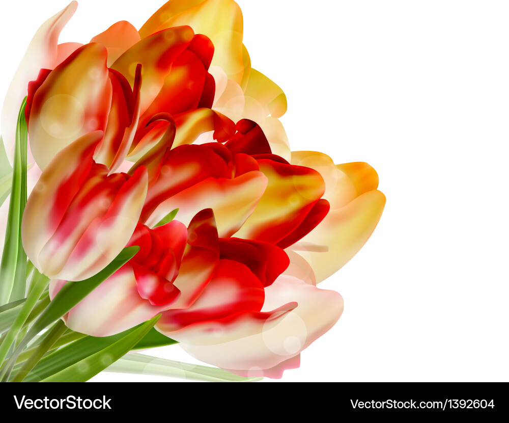 Red tulips and bokeh background eps 10 vector image