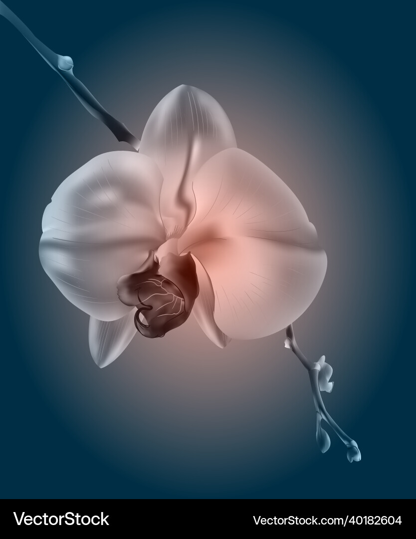 Schöne Orchideenblumen Vintage-Karte traurige Stimmung Schöne Orchideenblumen Vintage-Karte traurige Stimmung vektorbild