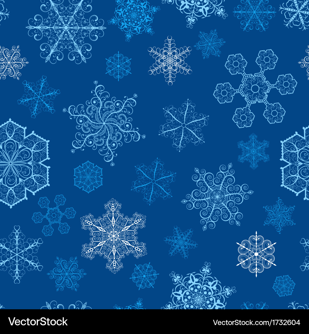 Winter Snowflake Pattern vector image