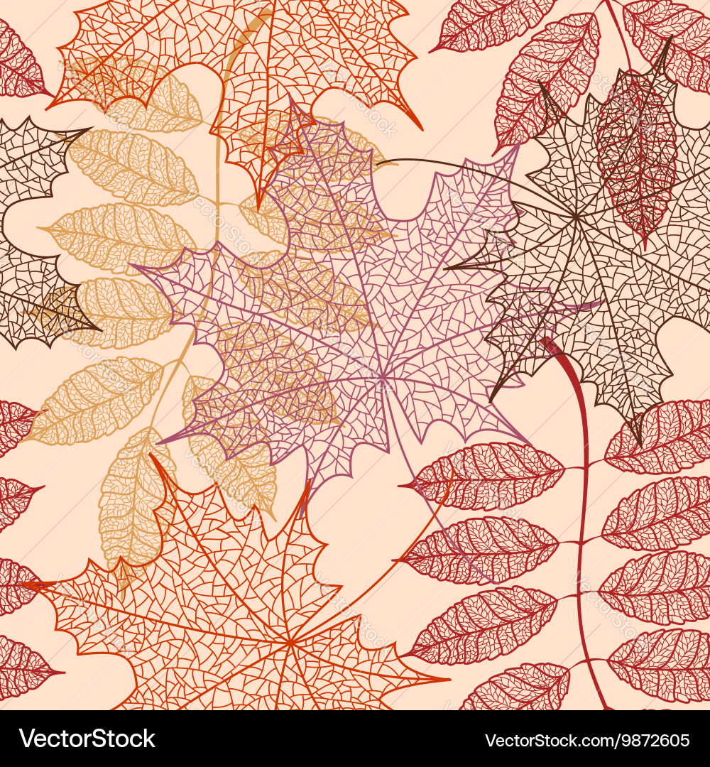 Autumn Leaf Pattern Vector Image