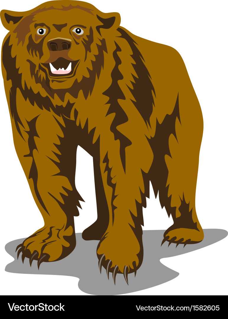 Brown bear Royalty Free Vector Image - VectorStock