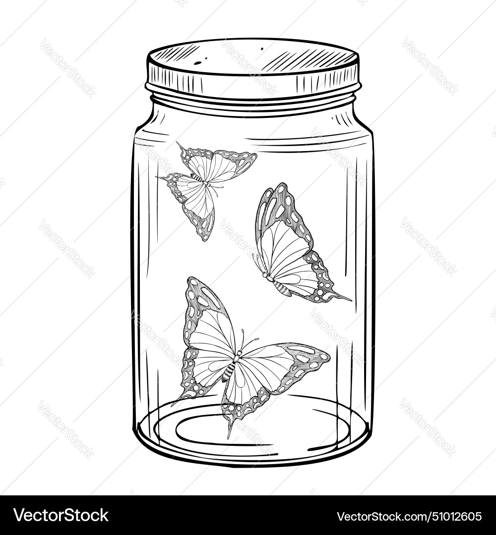 Butterflies in a glass jar Butterflies in a glass jar vector image