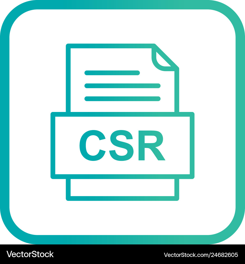Csr file document icon vector image