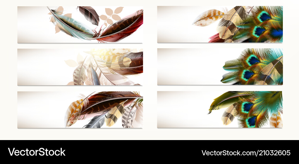 Set of templates with realistic colorful feathers vector image