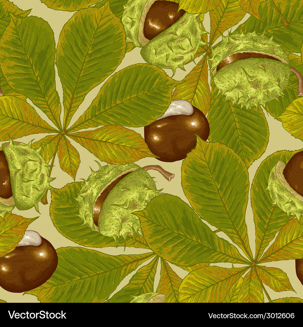 Chestnut seamless background Royalty Free Vector Image