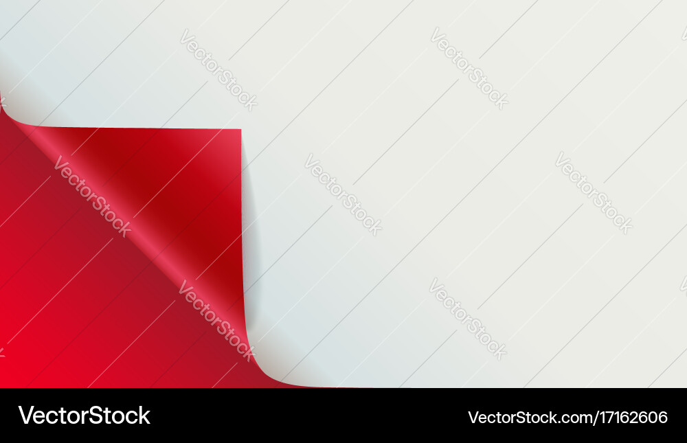 Page curl with shadow on blank sheet of paper Vector Image