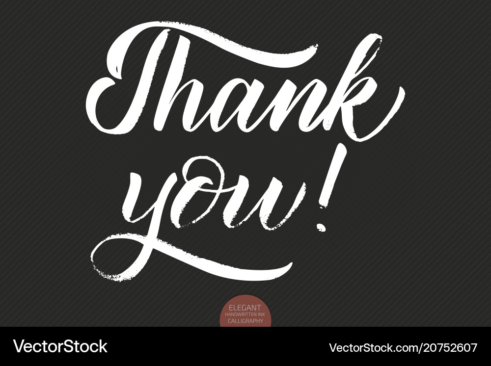 Hand drawn lettering thank you elegant Hand drawn lettering thank you elegant vector image