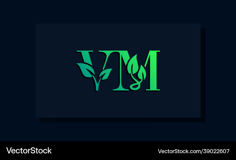 Minimal leaf style initial vm logo Vector Image