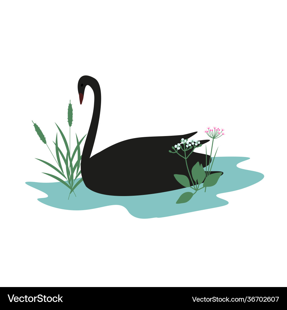 Swan simple Vector Image