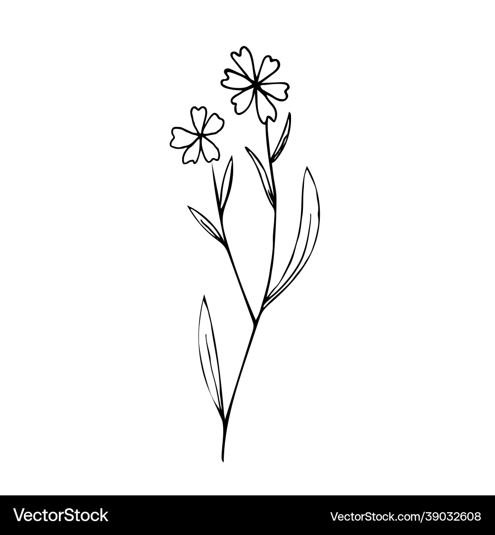 Botanical linear leaf set abstract minimalist Botanical linear leaf set abstract minimalist vector image