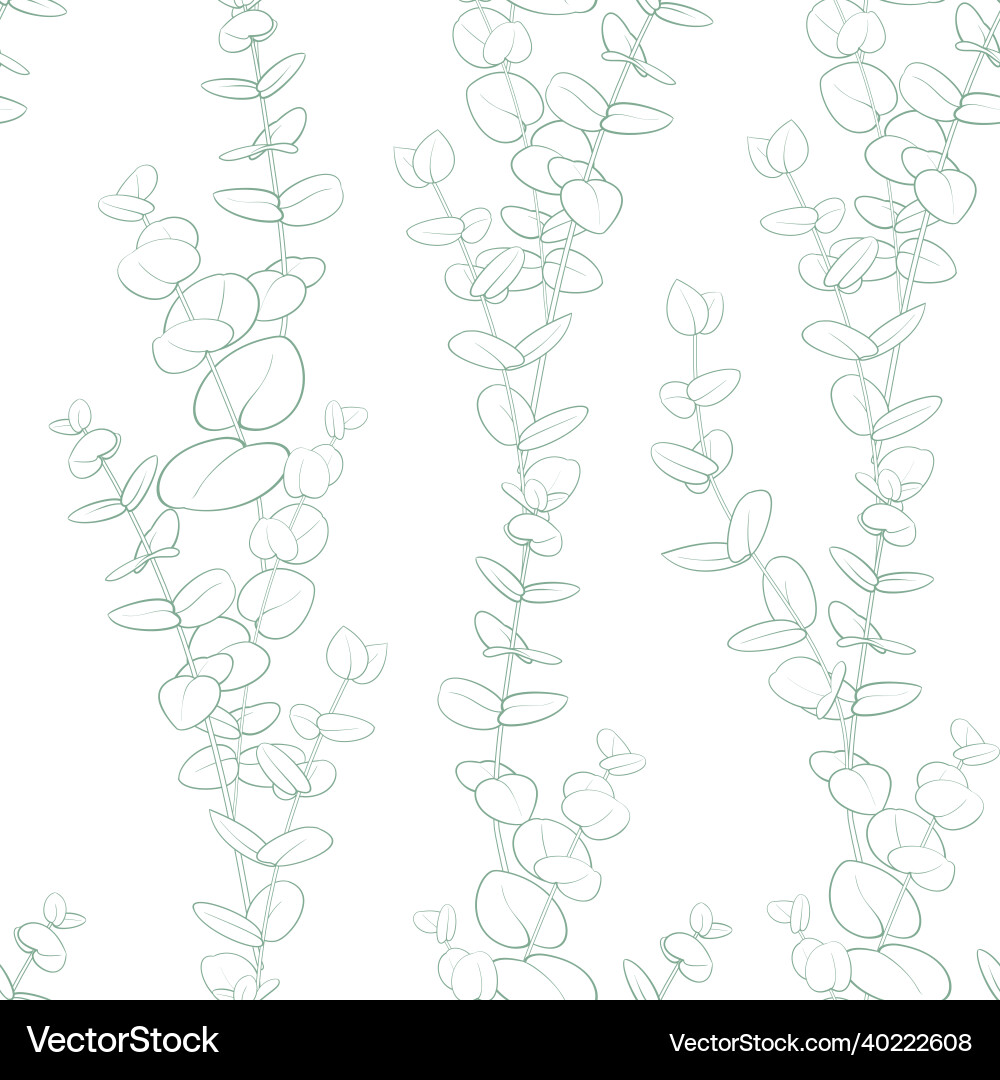 Eucalyptus Branch Pattern vector image