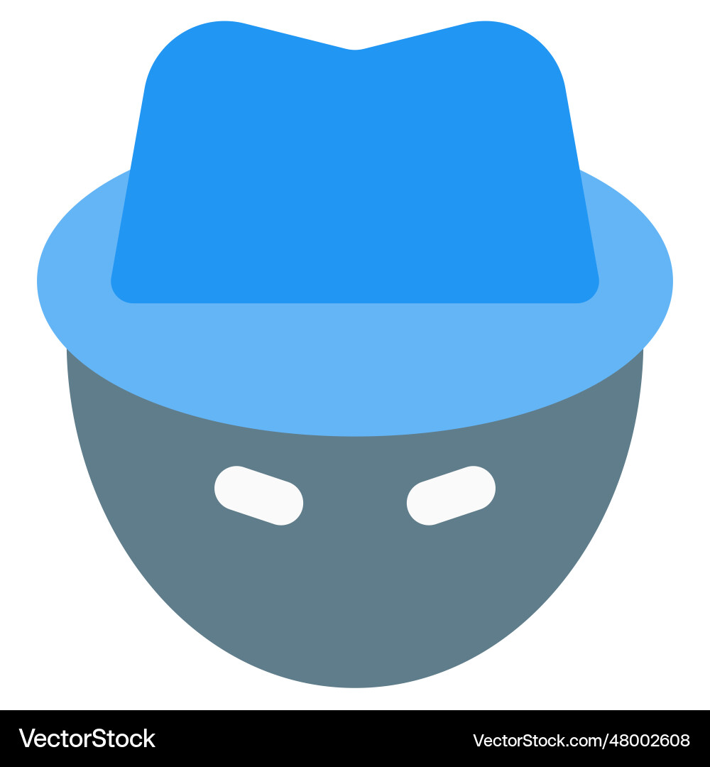 Hacker with technical skills in programming vector image