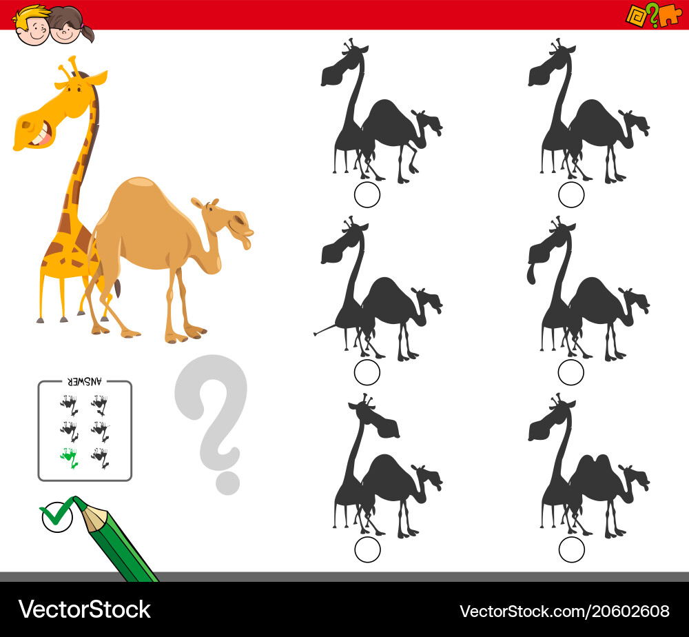 Shadows activity game with giraffe and camel Vector Image