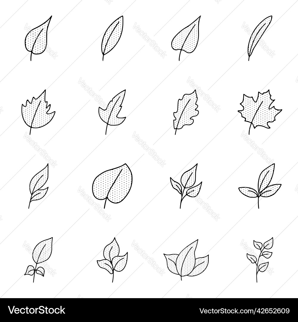 Blatt-Symbole im Doodle-Stil isoliert auf weiß Blatt-Symbole im Doodle-Stil isoliert auf weiß vektorbild