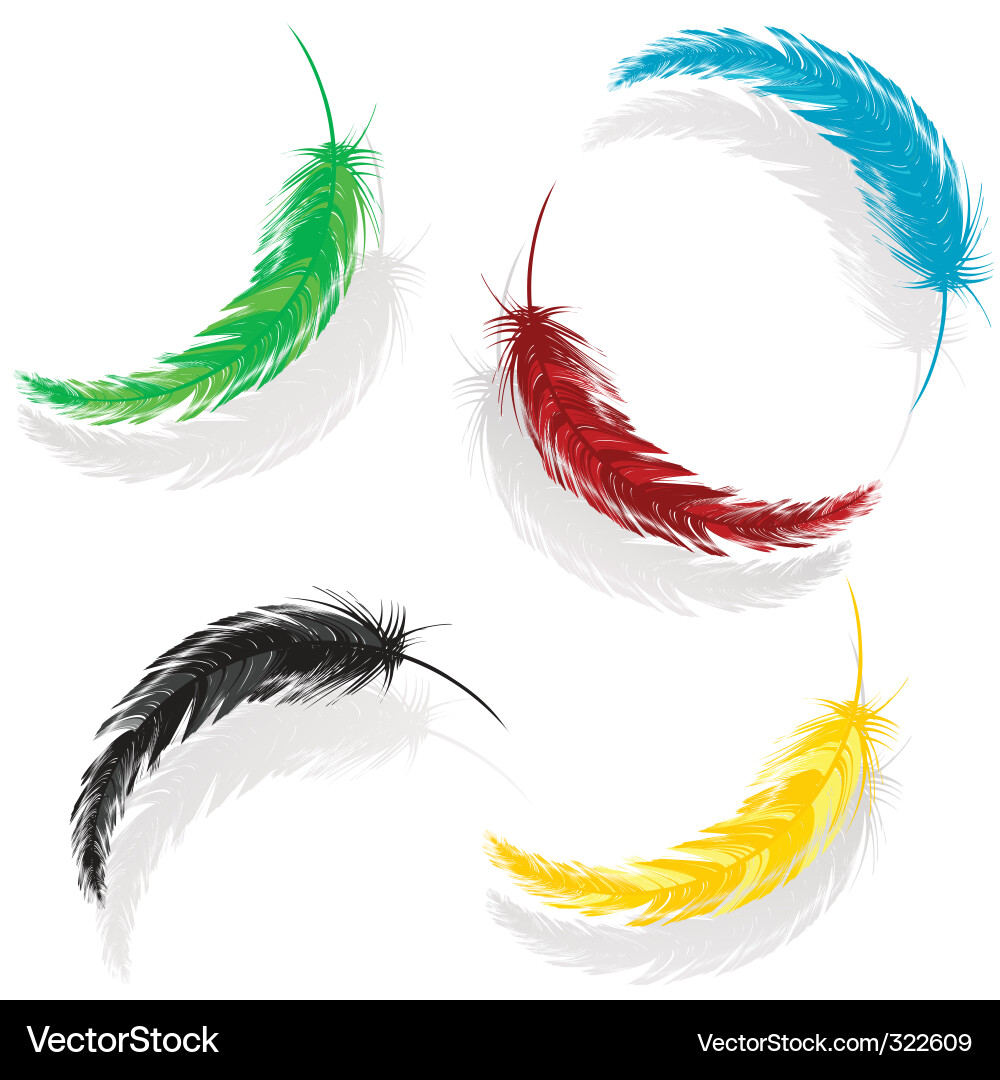 Colorful Feather Collection Vector Image