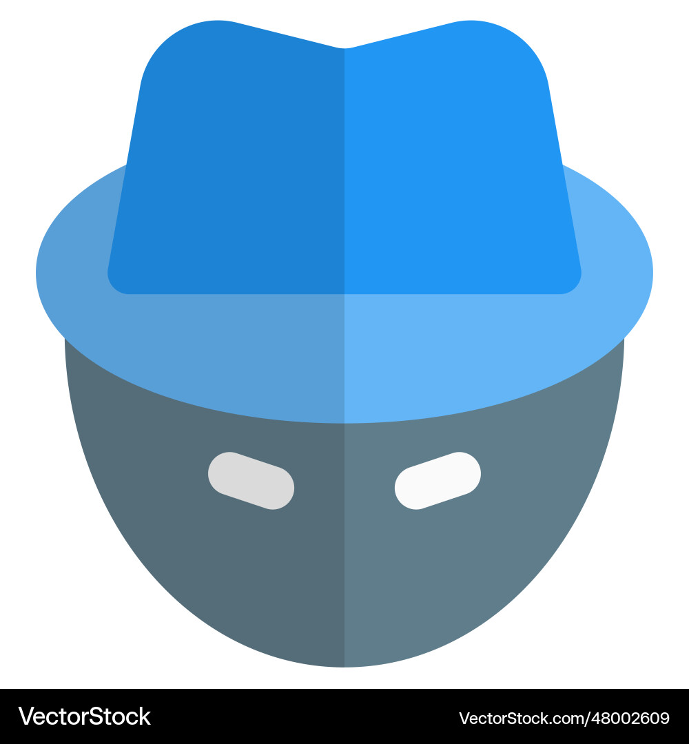 Hacker with technical skills in programming vector image