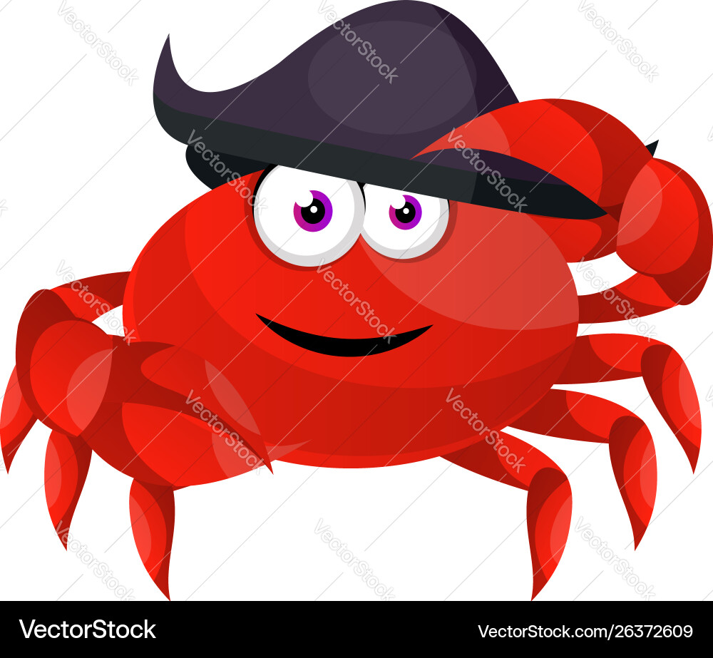 Krabbel mit Piratenhut auf weißem Hintergrund Krabbel mit Piratenhut auf weißem Hintergrund vektorbild