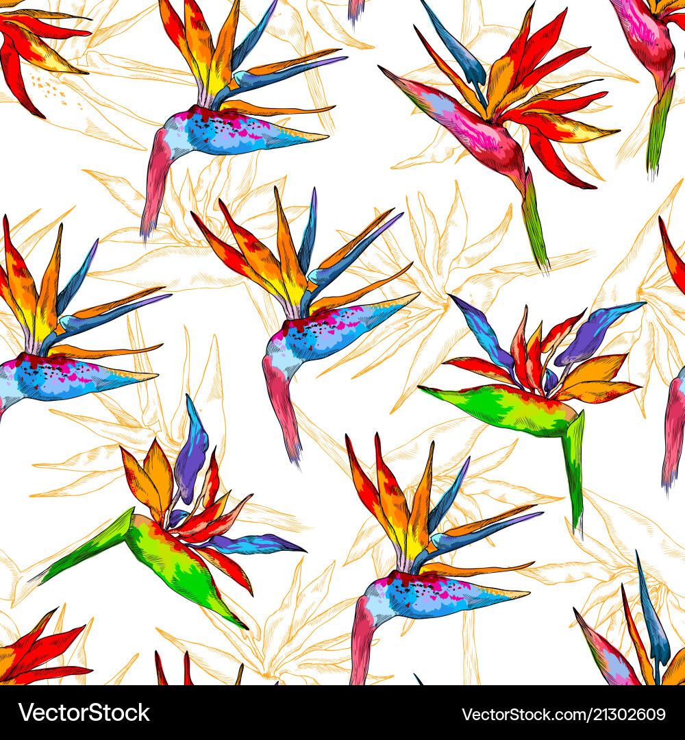 Seamless pattern of colorful strelitzia collection Seamless pattern of colorful strelitzia collection vector image