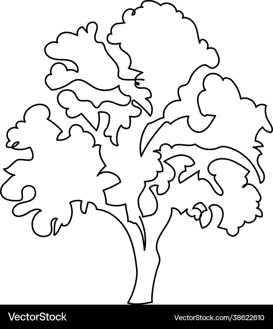 Deciduous tree one line art continuous Deciduous tree one line art continuous Vector Image