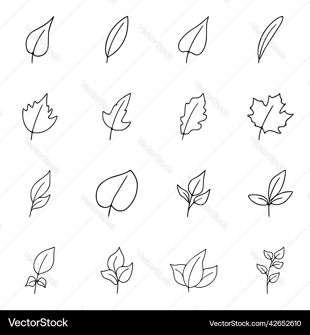 Leaf icons set in outline style isolated on white Leaf icons set in outline style isolated on white vector image