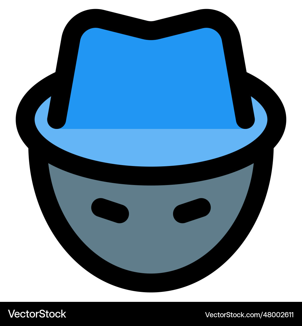 Hacker with technical skills in programming vector image