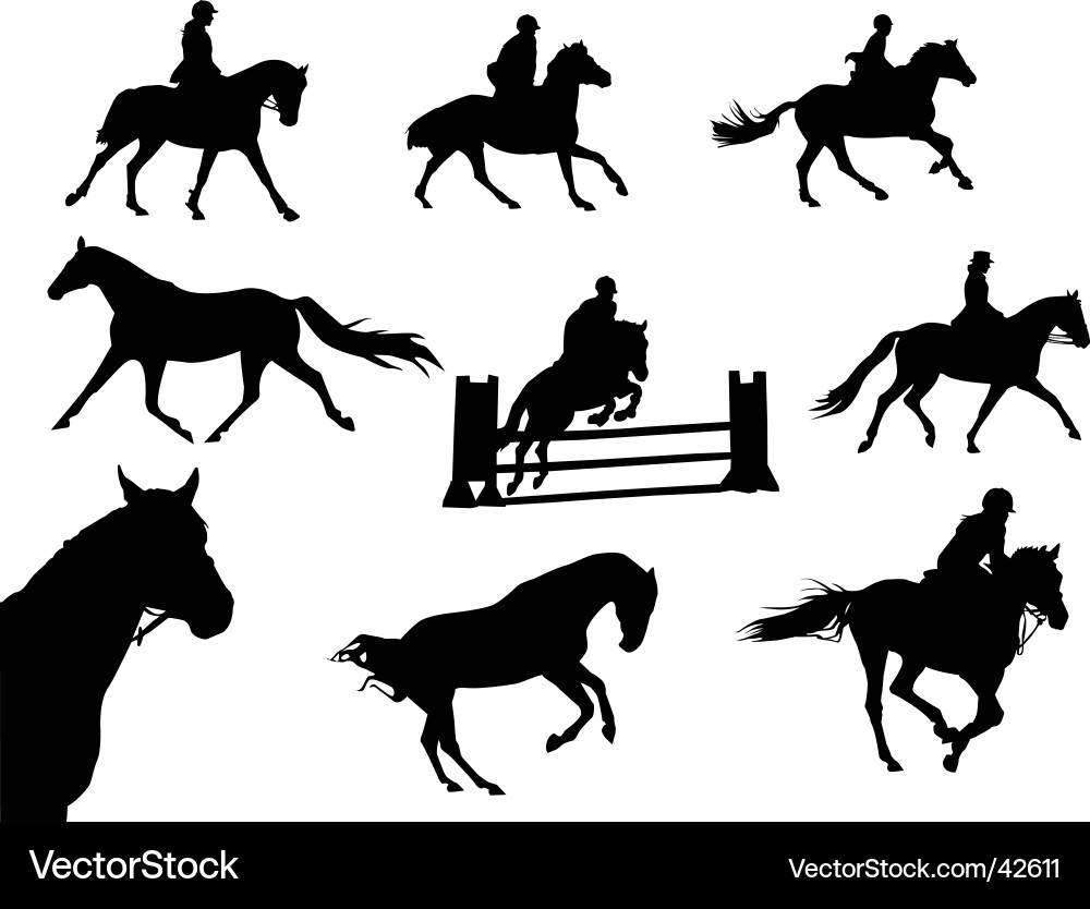 Horse Silhouettes - Equestrian Collection vector image