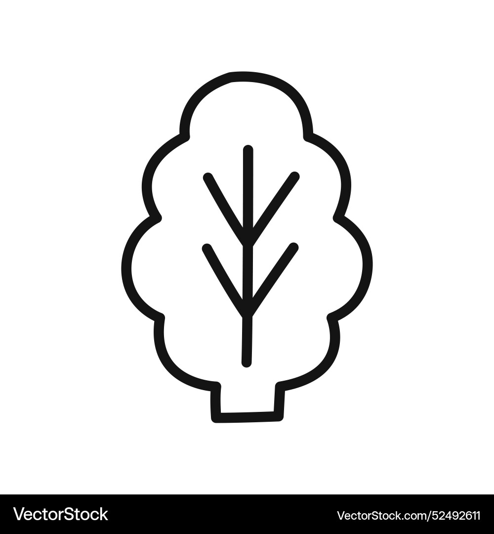 Spinach icon linear graphics set Spinach icon linear graphics set Vector Image