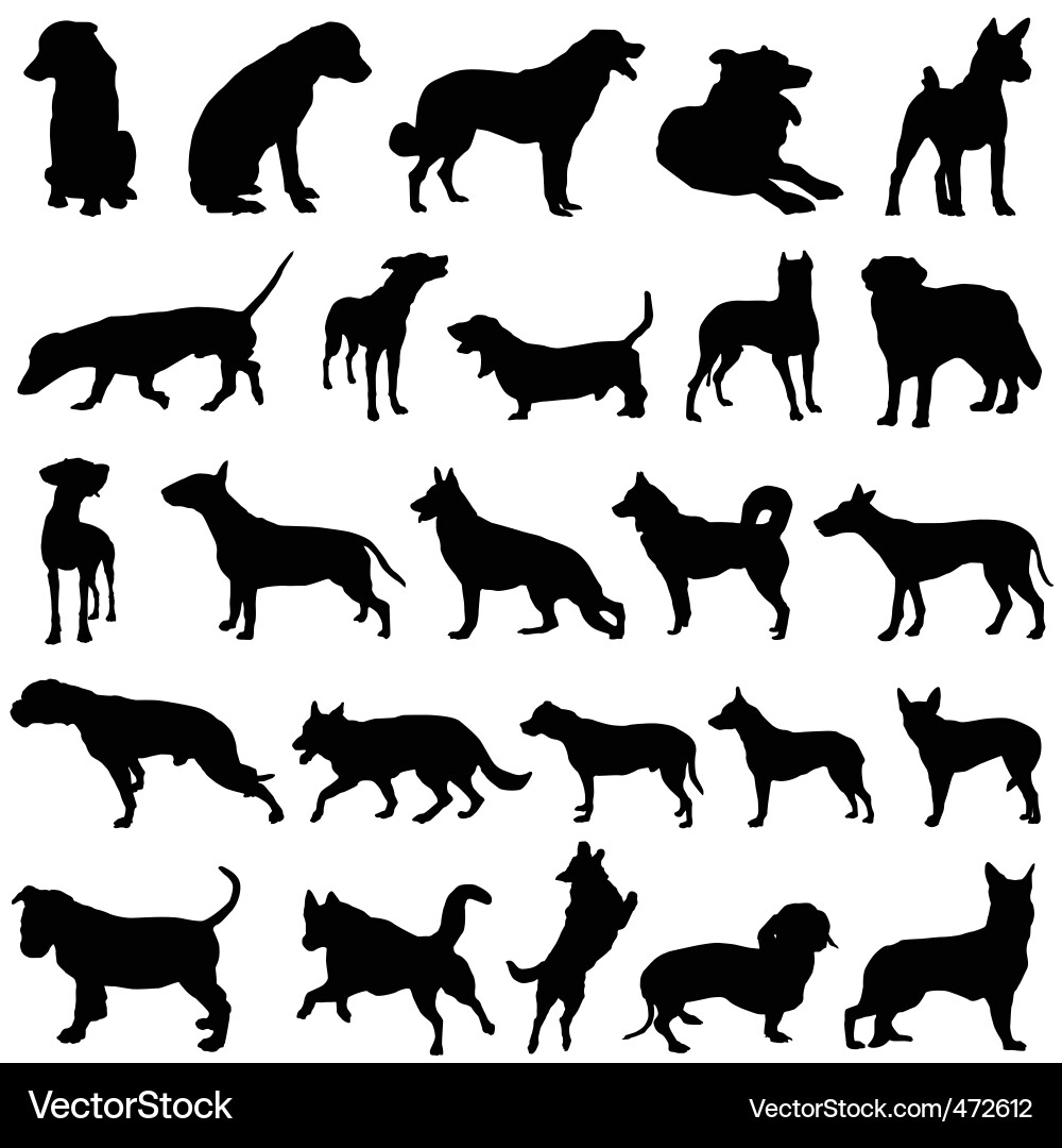 Dog Silhouettes Collection vector image