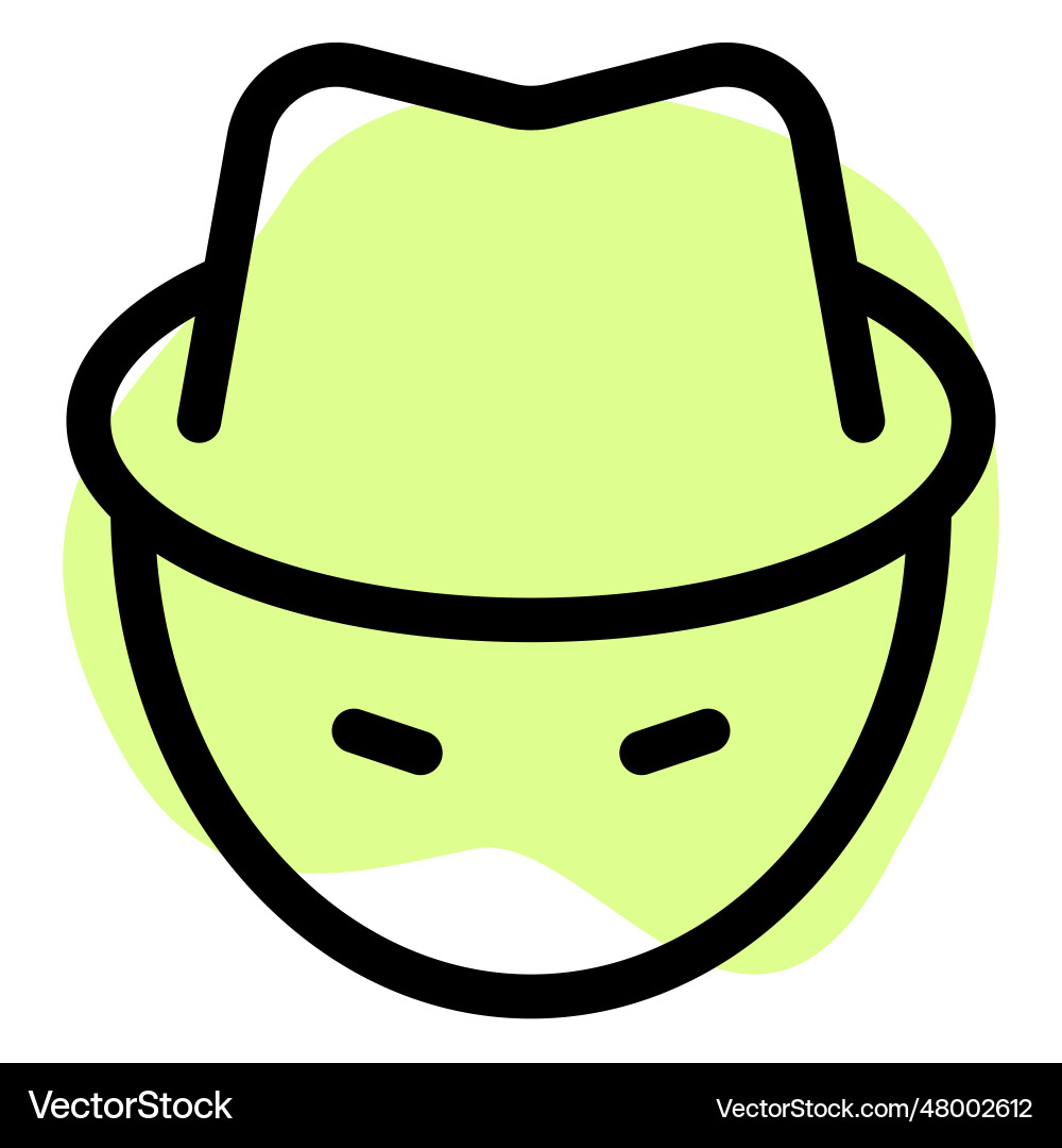 Hacker with technical skills in programming vector image