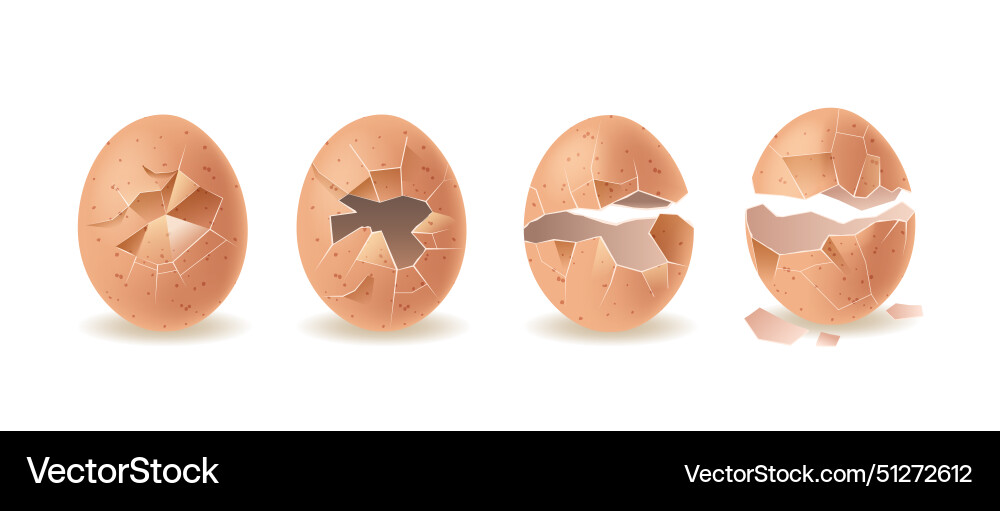 Sequence showing an eggshell cracking from Sequence showing an eggshell cracking from vector image