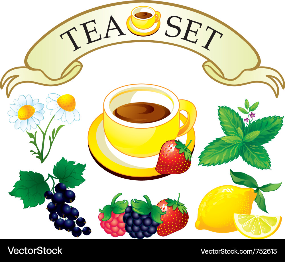 Aromatic Tea & Berry Collection Vector Image