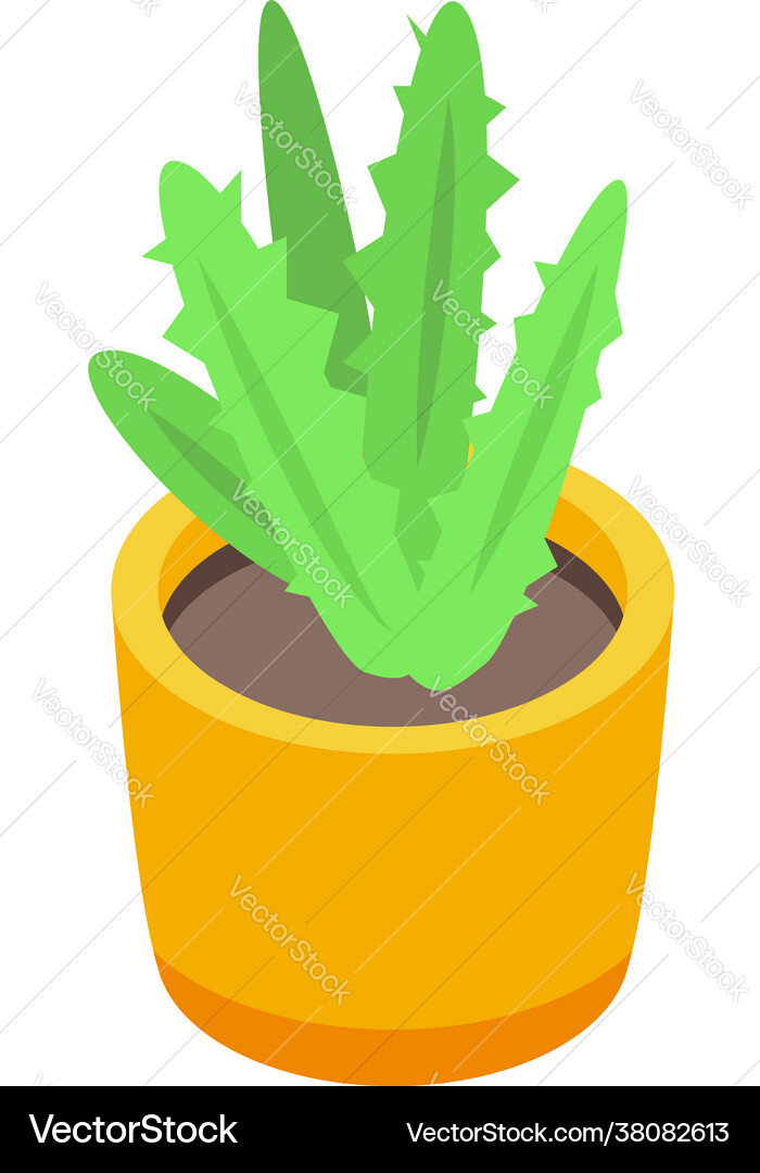 Organic plant pot icon isometric style Organic plant pot icon isometric style vector image