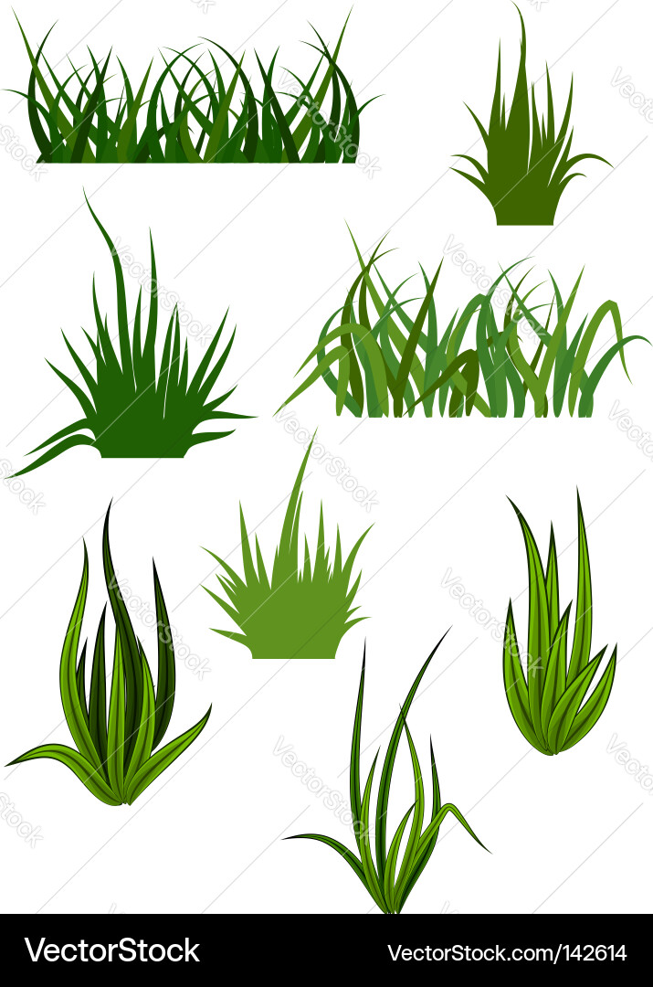 Grass patterns Royalty Free Vector Image - VectorStock