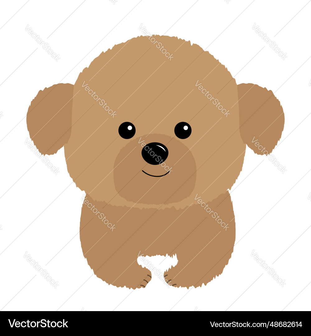 Maltipoo bichon frise maltese dog puppy face head Maltipoo bichon frise maltese dog puppy face head vector image